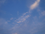 0aa1f88201e3a2fc28c4926c201b416b