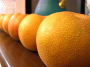 2b6a241473b02caf6ad1e1e1893bcf5e