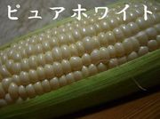 F68ea65eb116b25ea6c42bec1f0e886c