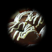 1cb0d5a23d86c18e81d81a35127743f4