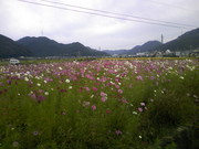 A6b7412bd84cbf153e9edfc8c1541b17