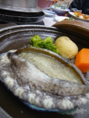 F29cc5492916a4b2d792741831559693
