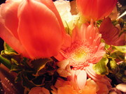 D2be5f322800b94f2436167eadc972b1