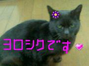 448aa1e0405d39d34db675c746743626
