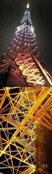 D41259f07352716886e275af6f642587