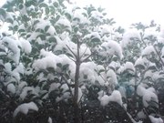 4f27dbcde30e7b056ef2e05125157d9b