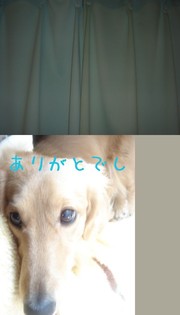 C3274ad6b6094a157592caf0247abeb2