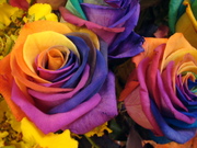 7dc1c39f184f8b34bb502bb29e5fc922