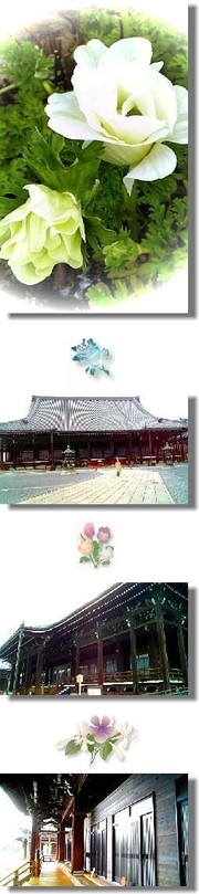 E17851a44a281417a473f9a99821a046