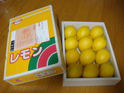 050320038d155051e7fb92c5c474bf00