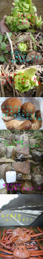265209f4939be24a95d5e544867e554c