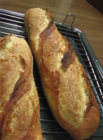 6e2aa02c331abacd1f5937a91d7b1eae