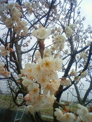 D39ed94be04c86e214ca15dd88d72b9f