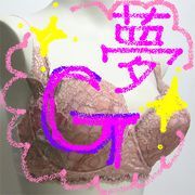 Fbdbf4e9784f82992d8ab3311f869359