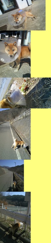 0a74fbddc9a6f8888316424bb9dc6ed5