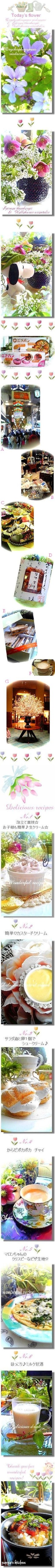 F15f6fb5a33765d5fef3b2025a07e285