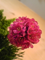 E0667ca7da599d88c890eb7d8078c4d4