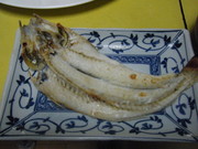 4b0bcad601e5901cb9780d819fcf660f