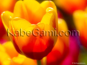 4a32c04887443ad1e3e3ad7a03224957