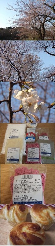 C9a9b01d81a521f39196f215426cc5bf