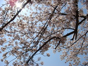 4a5b022a15f8dcbe4a505e58e5f26cf1