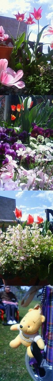 Ab99b0758dbb153eaa666c56d234efea