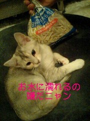 D328bd5eda3a3dc5a4f6d2f236e34fed