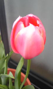 D8d34e087fb2d120ebfdbb16bbc52bc9