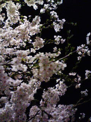 06129ce3171cc48c7329e70953538b38