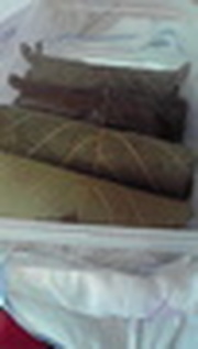 86a48e79c832c92d9c1d2b1688659435