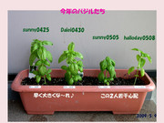 64bb2755bf3098acd72d4dd080914359