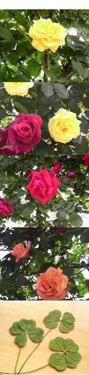 8383743b44b81b5ce321a84af79cd1c9