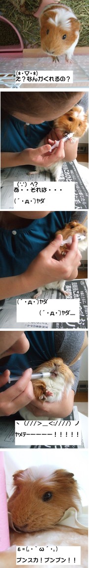 11adb68a084c41a8d309cf7795b7f1ff