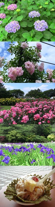 Bc90108753c1c3eef50bb331fc376f04