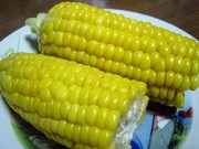 4e6274dc1273febbc129f3e3f7407600