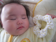42ecbe0b8d6d87a6547ab3ba01759fb5