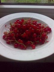 8d3c8a0684c8f3b139eb5504f186fad5