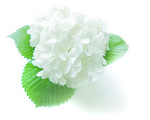 5d91f9d85087762a301f2c260f0bc415