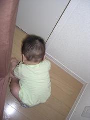 Abd4edf053acdb696c1530a64115ad55