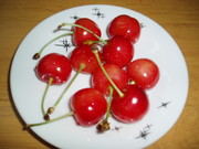 C20aa4555f3b38f201054c462c62b2dc
