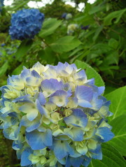 7f618ccf61ebb807997ed515ab8bf8a6