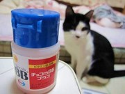 Acfb44bd9a93850125664b52a38a4dc6