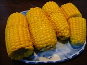 0c00056a82f0f2faa2cb12589dd28b02