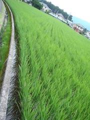 61cd221ead053ebcab0d08bb124392dc