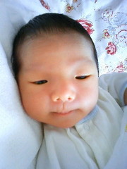 73398be821ab50fab956e735969fb568