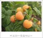 E31ab651f0b913a4b8a9cf894d3c9568
