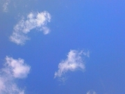 Ef9a523c166730605f38c63a70c4831a