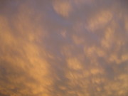 Eefdbfa7e781689d9a19068721b9dfc9