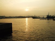 Ee7818dd91212517700c5a7d01d64d88