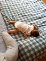3bed2f338e964ecf6a61f90616797c7a